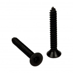8 X 1/4 FH TORX PLAIN