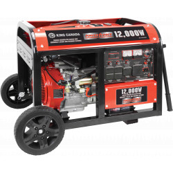 12000W Gas Generator w/ Electric Start