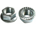 Serrated Locking Flange Nuts / ZINC - 1/2"-13