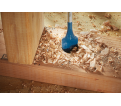 7/16 In. x 6 In. Daredevil™ Standard Spade Bits