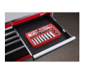 28 pc. 1/2 in. Socket Wrench Set (Metric)