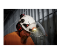 BOLT™ REDLITHIUM™ USB Headlamp